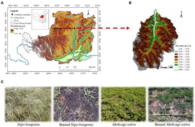 Short-term effects of wildfire on soil arthropods in a semi-arid grassland on the Loess Plateau